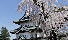 Berapa Gaji Kerja di Aomori Jepang?