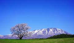 Temukan Pesona Prefektur Iwate, dari Wanko Soba hingga Situs Warisan Dunia