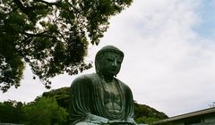 5 Kuil Buddha di Kamakura Kanagawa, Tujuan Wisata Budaya Jepang