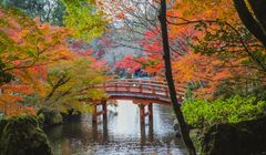 2 Taman Tradisional Jepang dengan Bangunan Gaya Barat di Tokyo