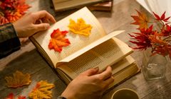 Saat Jepang Jatuh Cinta pada Buku, Tradisi Membaca Saat Musim Gugur