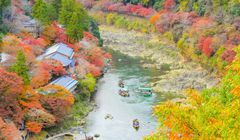 Prakiraan Cuaca di Kyoto pada 9-15 November 2024