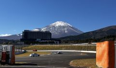 Panduan Wisata ke Shizuoka: Gunung Fuji, Hidangan Wasabi Segar,  sampai Festival Layang-layang