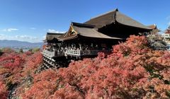 Alasan Kyoto Menaikkan Pajak Penginapan, Efek Panjang Overtourism