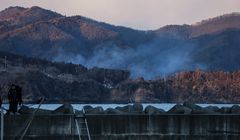 Jepang Kebakaran Hutan Terbesar dalam 30 Tahun, 1.200 Hektar Hangus