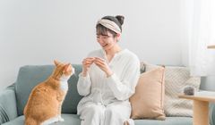 6 Tips Merawat Kucing Sambil Belajar Bahasa Jepang