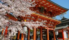 Cara Registrasi Visa Waiver Jepang Online, Bebas Visa 15 Hari