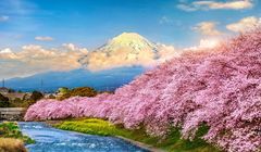 Musim Pendakian Gunung Fuji Ditutup, Jalur Akan Dibuka Lagi Juli 2025