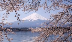Pendakian Gunung Fuji 2025 Mulai 1 Juli, Ini Biaya dan Aturan Lengkapnya