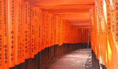 Kemungkinan Hujan di Kyoto pada Golden Week, Ini Update Cuaca 3-5 Mei 2025