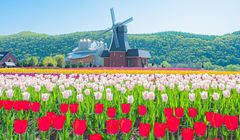 Hokkaido Sering Berawan dan Dingin pada 20-26 Mei 2025, Jangan Lupa Bawa Jaket!