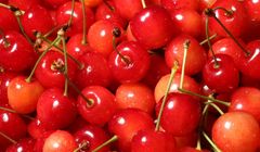 Ceri Premium Senilai Rp 110 Juta Dicuri dari Kebun di Jepang, Tinggalkan Pohon Kosong