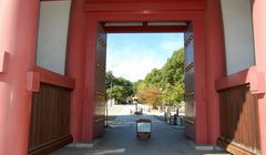 Weekend Hujan Deras di Osaka, Ini Tips Antisipasi Cuaca 13–19 Juni 2025