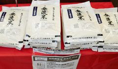 Beras "Bulog" Jepang Bikin Pedagang Optimis Harga Terus Turun