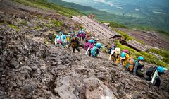 Tips Mendaki Gunung di Jepang: Persiapan, Bahasa Jepang, hingga Tips Darurat