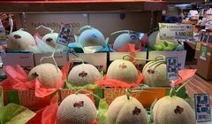 7 Buah Termahal di Jepang, Ada Melon Rp 500 Juta dan Stroberi Rp 6 Juta