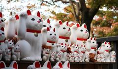 Prakiraan Cuaca Jepang 25 September-1 Oktober 2025, Simak Tips Pakaian dan Aktivitas