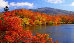 Liburan ke Jepang Bulan Oktober, Apa yang Menarik?