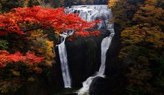 Inilah Waktu Terbaik ke Jepang, Bukan Saat Sakura Mekar