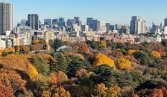 Prakiraan Cuaca Jepang 30 Oktober-5 November 2025: Tokyo Mulai Dingin, Osaka Lembap, Hokkaido Berawan