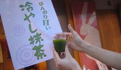 3 Cara Bedakan Matcha Asli Jepang dan Biasa Menurut Matcha Educator