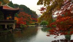 Ini 5 Rekomendasi Tempat di Kyoto untuk Menikmati Musim Gugur yang Penuh Warna