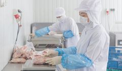 Tokutei Ginou Pengolahan Makanan Jadi Pilihan Terbuka untuk WNI, Ini Syaratnya