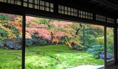 Menikmati Kearifan Lokal Jepang di Bulan November Lewat Teh dan Kaligrafi