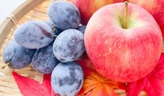 Kesemek hingga Apel, Inilah Buah Musim Gugur yang Paling Dicintai di Jepang