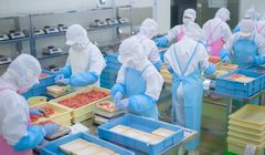 Tes Tokutei Ginou Pengolahan Makanan di Jepang: Syarat, Proses, dan Cara Daftar