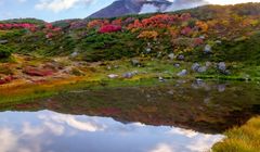 November Liburan ke Jepang? 5 Tempat Wisata Musim Gugur Ini Wajib Dikunjungi