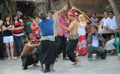 Mengenal Tradisi Peresean, Budaya Adu Cambuk dari Lombok