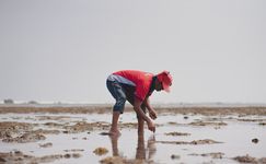 Menyisir Pagi di Pantai Panjang...