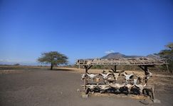 Catat Nih, 3 Destinasi Eksotik di Taman Nasional Baluran