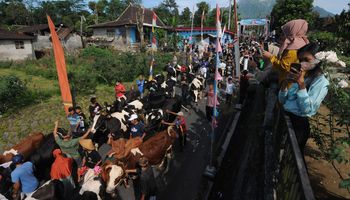 Bukan Sekadar Hijau, Kosmologi Jawa Melampaui Keberlanjutan