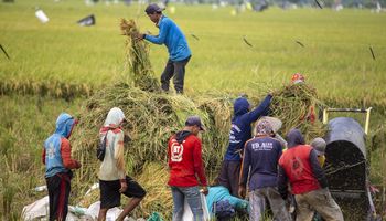 El Nino Godzilla, Ketahanan Pangan Nasional, dan Nasib Petani