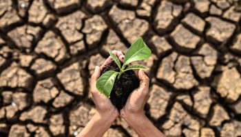 Ketika Musim Tak Lagi Terbaca: Mendesak Literasi Iklim dari Desa
