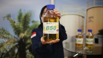 Menimbang Energi Surya Vs Biofuel Lewat 
