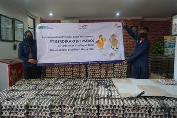 BUMN Berdikari Buka Lowongan Kerja, Simak Persyaratannya