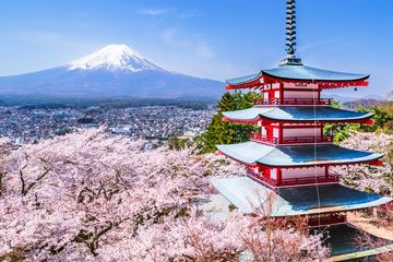 Festival sakura di Gunung Fuji dibatalkan setelah warga memprotes overtourism akibat lonjakan turis asing dan dampak serius bagi kehidupan lokal.



~TR #ohayojepang #sakurajepang #jepang
