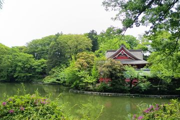 Masuk Jepang kini semakin mudah bagi WNI berkat visa waiver dan Visit Japan Web. Simak pengalaman langsung proses imigrasi Jepang 2026 yang cepat dan praktis.
#ohayojepang #imigrasijepang #jepang