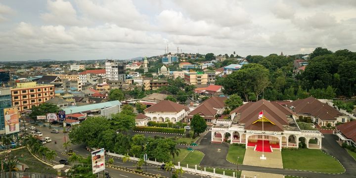 Asal-usul Dan Sejarah Tanjung Pinang, Pohon Pinang Petunjuk Pulang