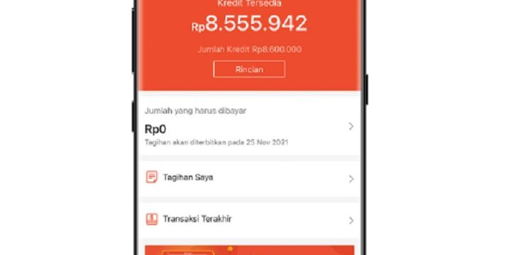 Syarat Dan Cara Mengaktifkan Shopee PayLater Dengan Mudah