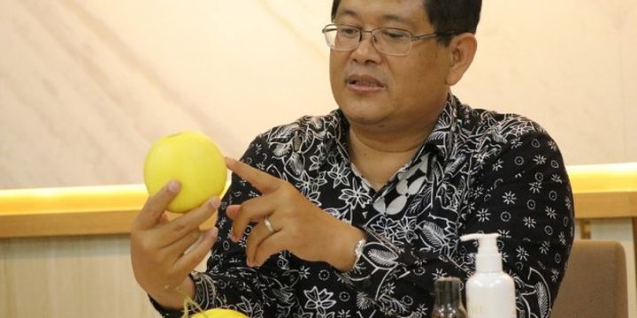 Mengenal Hikapel, Buah Melon Mirip Apel Yang Lahir Dari Keluhan Emak-emak