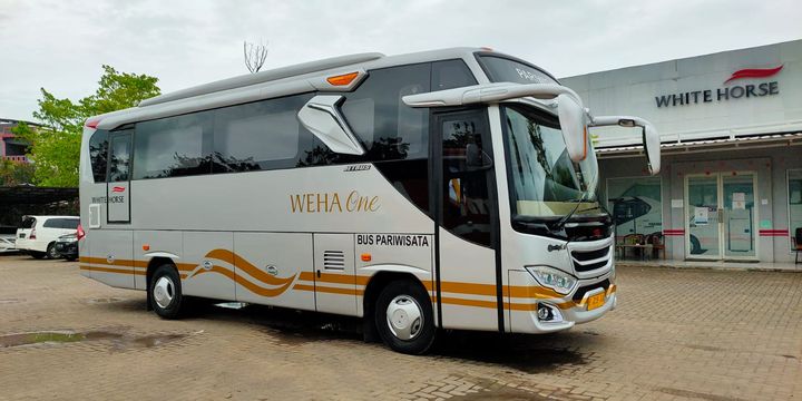 White Horse Luncurkan Medium Bus Mewah, Penuh Fasilitas Premium