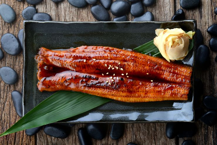 Apa Itu Unagi? Ikan Sidat yang Bikin Kaget Peserta MasterChef Indonesia 12