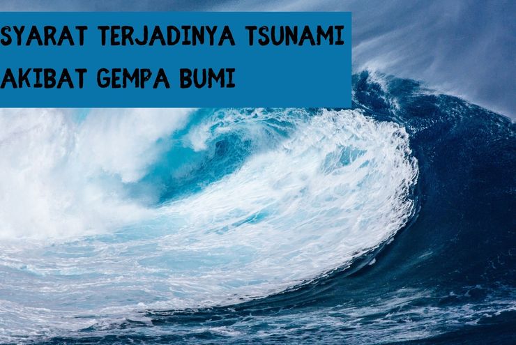 Peneliti Temukan Bukti Tsunami Purba di Amber Pepohonan Jepang dari Zaman Dinosaurus
