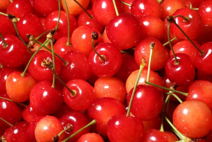 Ceri Premium Senilai Rp 110 Juta Dicuri dari Kebun di Jepang, Tinggalkan Pohon Kosong