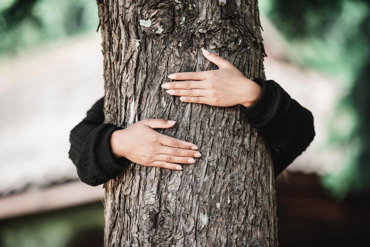 Pakar IPB: Forest Bathing Efektif Redakan Stres dan Tingkatkan Imunitas Tubuh