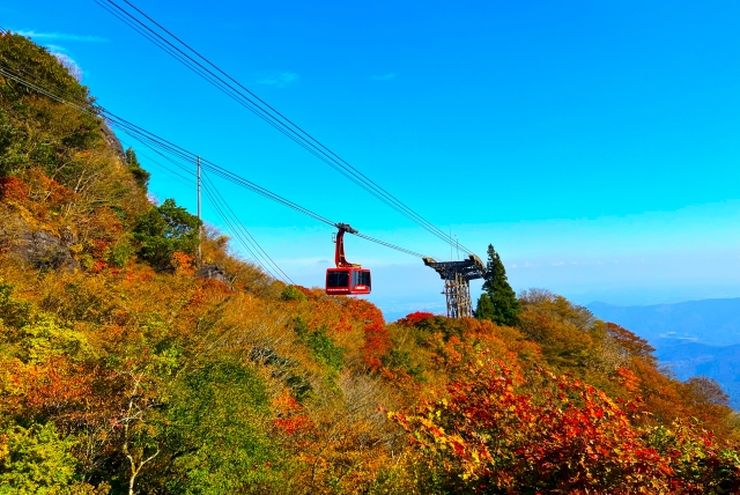 Tempat Wisata Dekat Tokyo Ini Katanya Lebih Indah dari Spot Populer